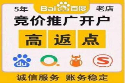 sem托管服务案例：如何实现广告投放精准化